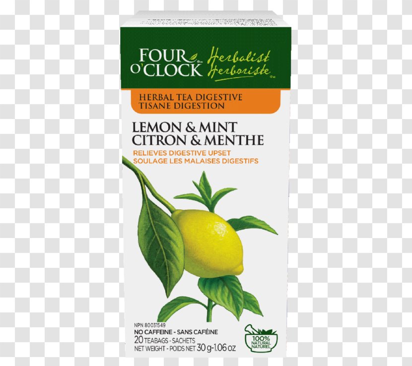 Tea Sencha Bancha Gyokuro Lemonade - Citrus Transparent PNG