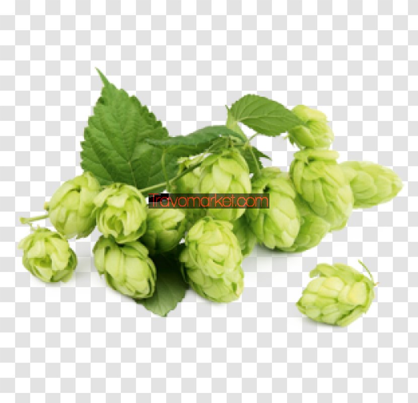 Beer Brewing Grains & Malts Ale Royalty-free Extract - Malt Transparent PNG
