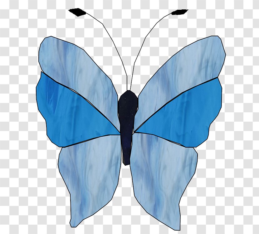 Butterfly Moth Stained Glass Common Rose Transparent PNG