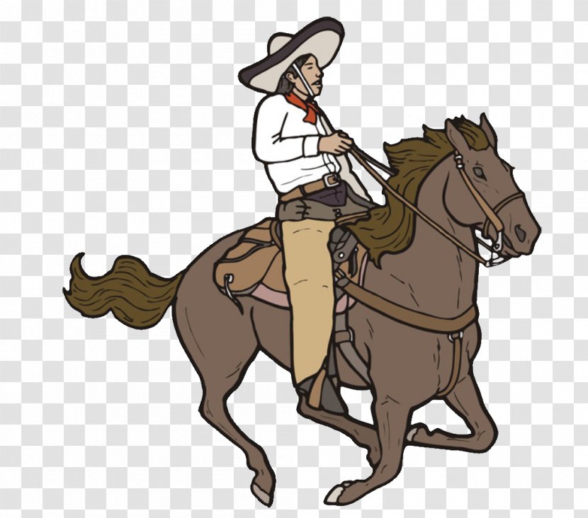 Horse Cowboy Knight Bridle - Outerwear - Creative Transparent PNG