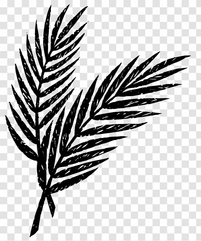 Palm Sunday Holy Week Easter Lent Maundy Thursday - Passion - HOLY WEEK Transparent PNG