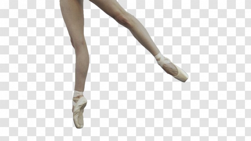 Pointe Shoe Technique Dance Ballet - Tree - Frayed Transparent PNG