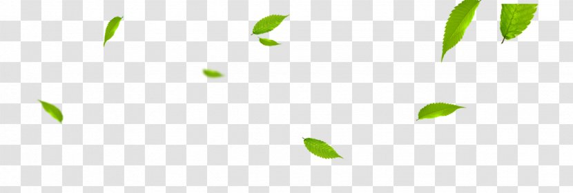 Brand Logo Pattern - Leaves Transparent PNG