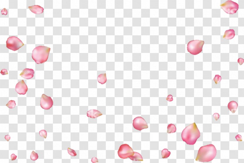 Petal Rose - Royaltyfree Transparent PNG