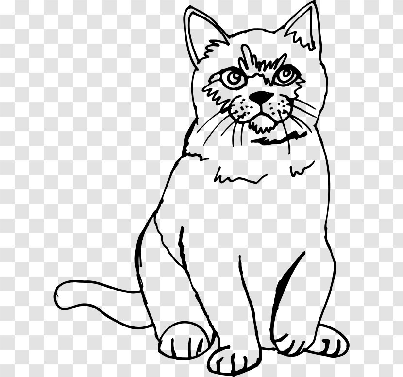 Cat Kitten Line Art Drawing Sketch - Wild Transparent PNG