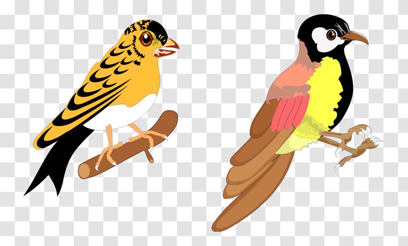 Bird Vector Graphics Illustration Design Download - Finch - Birds Animation Transparent PNG