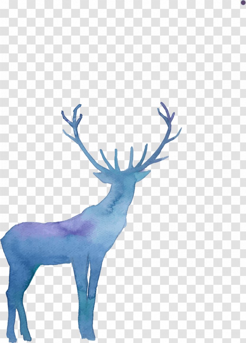Reindeer Elk Vector Graphics Clip Art - Wildlife - Deer Transparent PNG