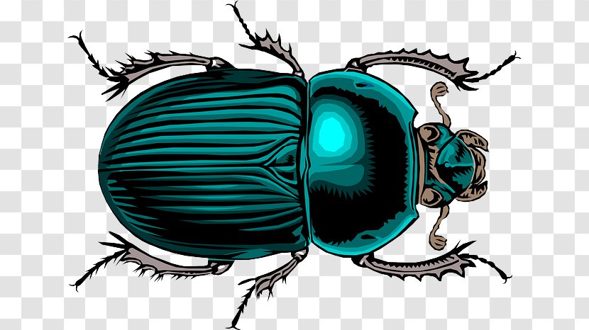 Dung Beetle Peace Lysistrata The Birds Transparent PNG