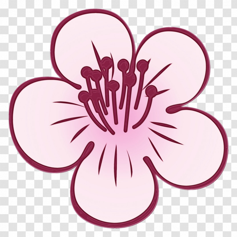 Pink Flower Plant Petal Magenta Transparent PNG