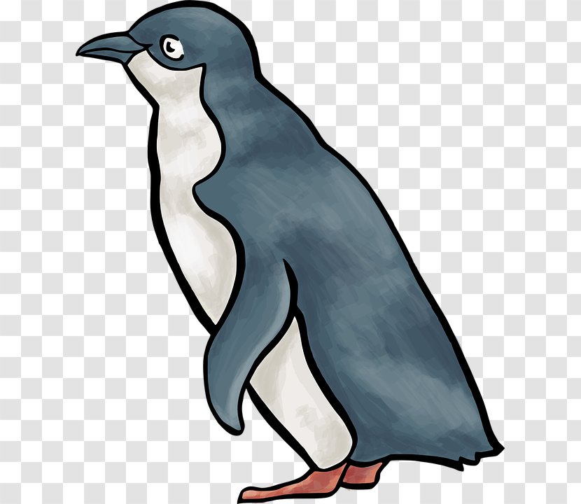 Penguin Clip Art Vector Graphics Royalty-free Image - Seals Transparent PNG