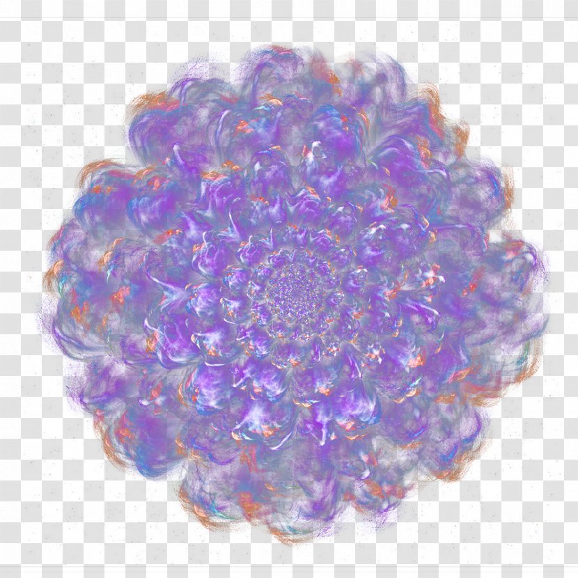 Purple Flower Designer - Dream Top View Transparent PNG