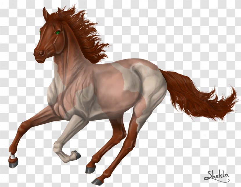 Mane Foal Mustang Pony Stallion - Horse Like Mammal Transparent PNG