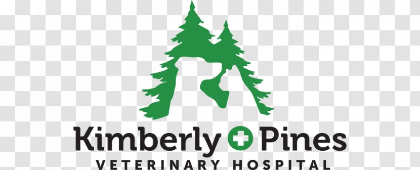 Kimberly Pines Veterinary Hospital Cat Dog West Road Dr. Christy Fields, DVM - Green - Dogs Practice Their Teeth Transparent PNG