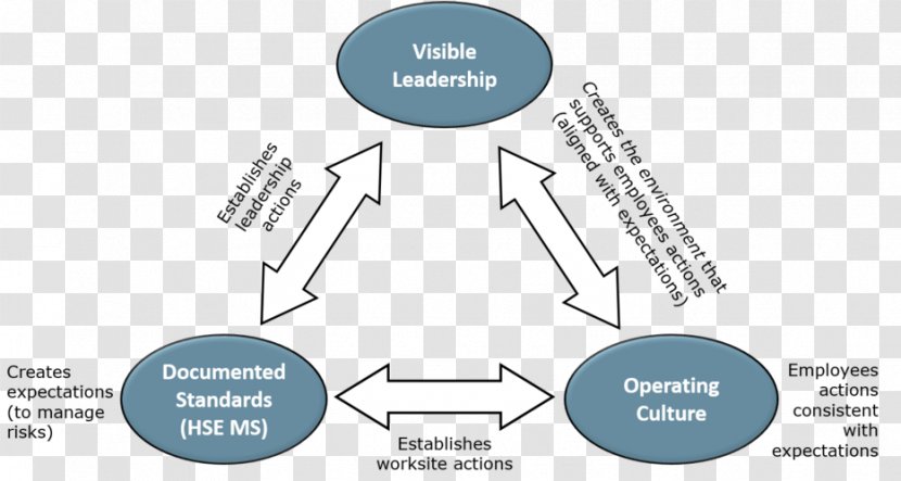 Management System Diagram Paper - Communication - Technology Transparent PNG