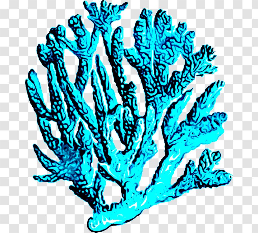 Coral Reef Background - Alcyonacea - Plant Aquarium Decor Transparent PNG