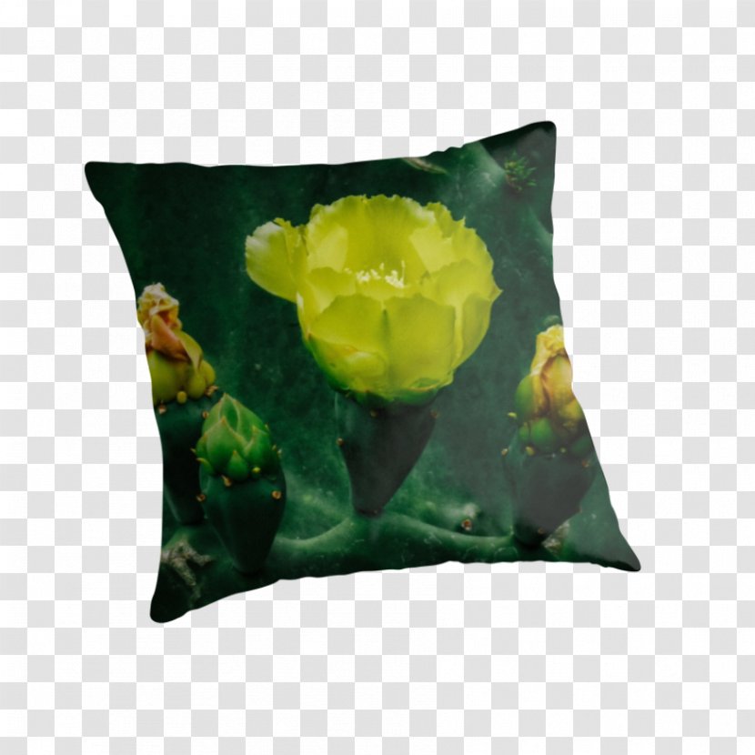 Throw Pillows Cushion Bag 1960s - Pillow Transparent PNG