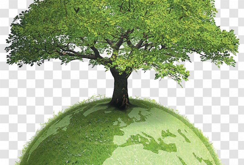 Environmentally Friendly Sustainability Sustainable Development Paper Environmentalism - Caring For The Earth Protection Of Trees Transparent PNG