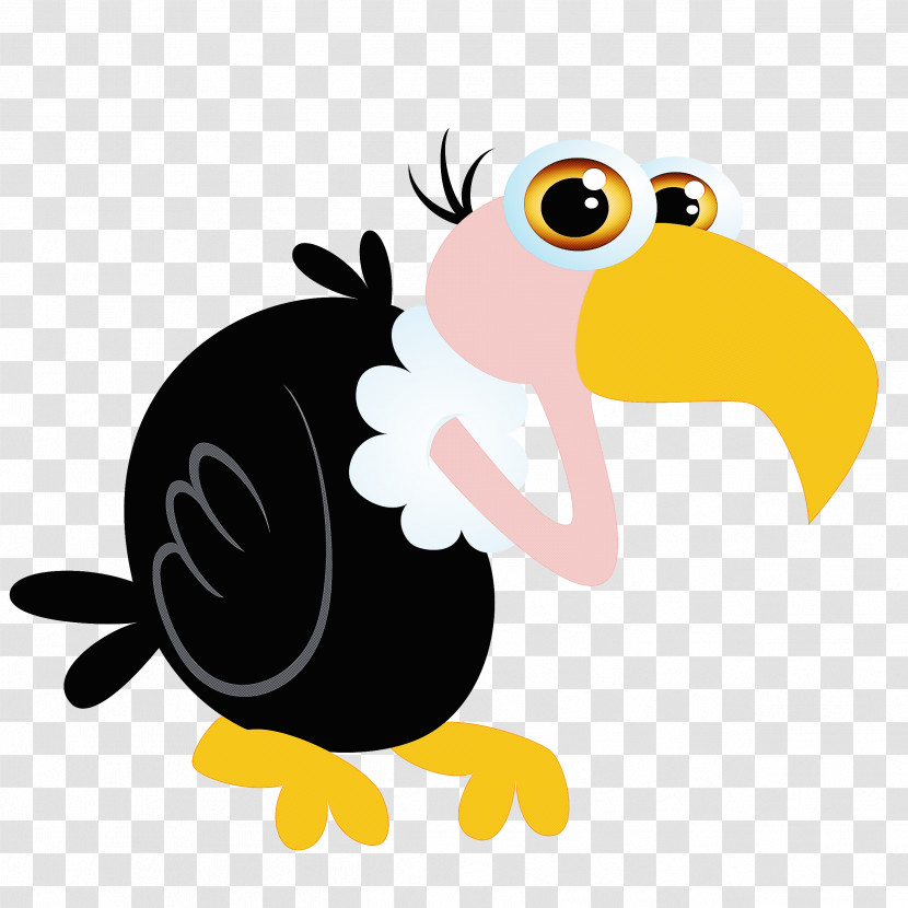 Bird Cartoon Toucan Beak Vulture Transparent PNG