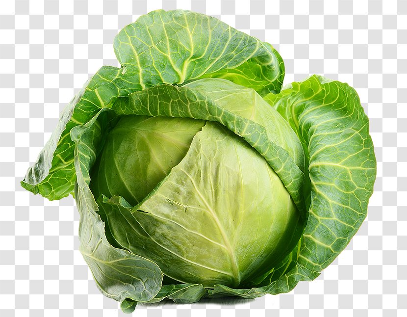 Cabbage Leaf Vegetable Organic Food - Savoy Transparent PNG