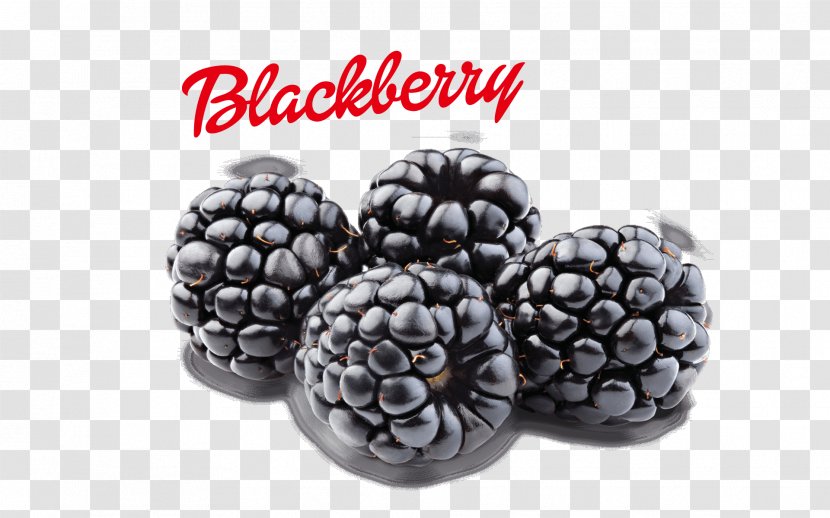 BlackBerry Z10 Fruit Berries Limited - Bead - Blackberry Transparent PNG