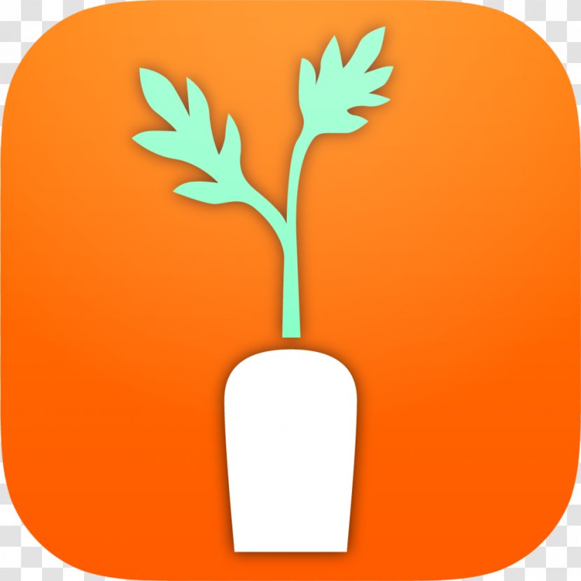 CARROT Pass, LLC. Health, Fitness And Wellness - Orange - Health Transparent PNG