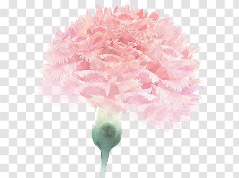 If(we) Wallpaper - Peony - China Transparent PNG