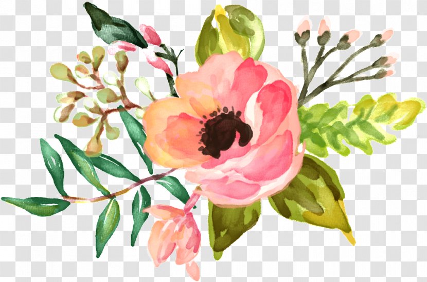 Watercolor Painting Desktop Wallpaper Drawing Floral Watercolour - Peony Transparent PNG