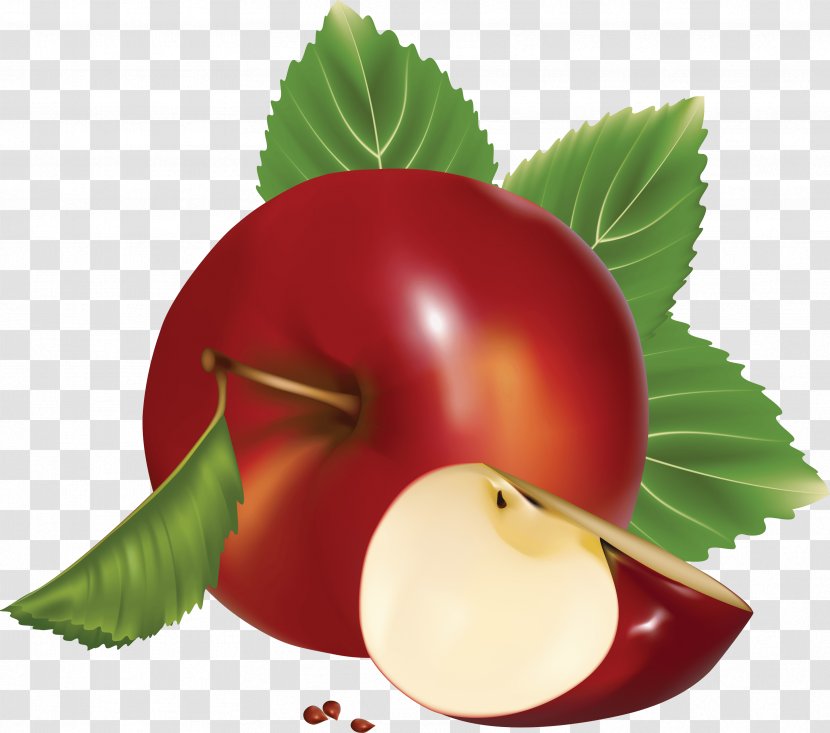 Apple Clip Art - Bird - Image Transparent PNG