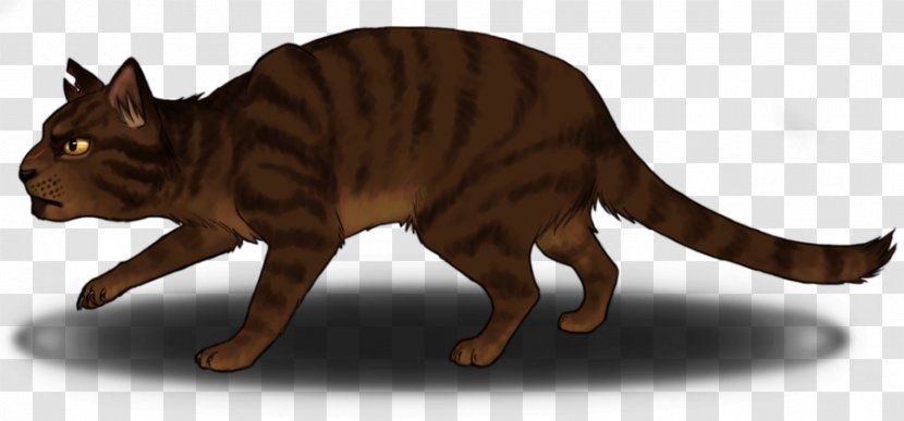 Whiskers Cat Tiger Tawnypelt Art - Warriors Transparent PNG