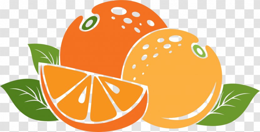 Mandarin Orange App Store Auglis - Diet Food - Cartoon Transparent PNG