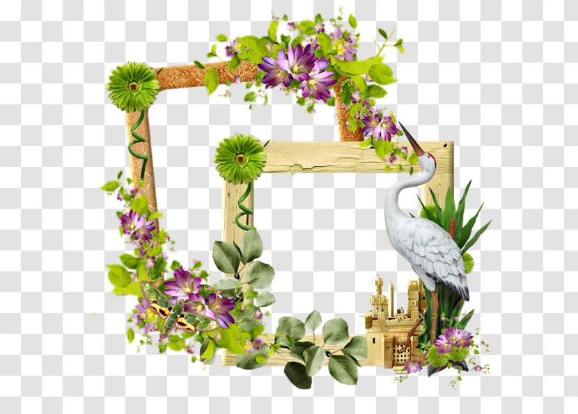 Flower Floral Design Floristry Download Lavender - Flora - Title Frame Transparent PNG