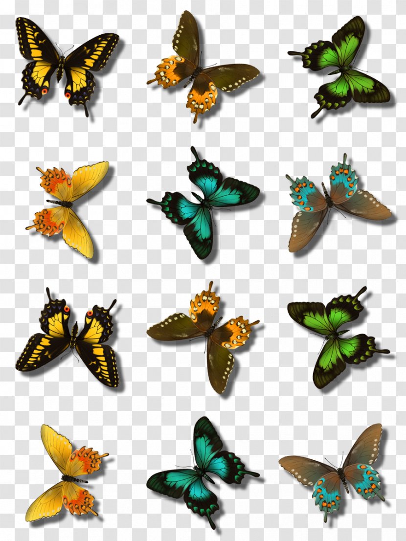 Monarch Butterfly PaintShop Pro GIMP - Pollinator Transparent PNG