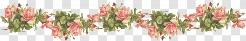 Flower Clip Art - Plant - Flowers Transparent PNG