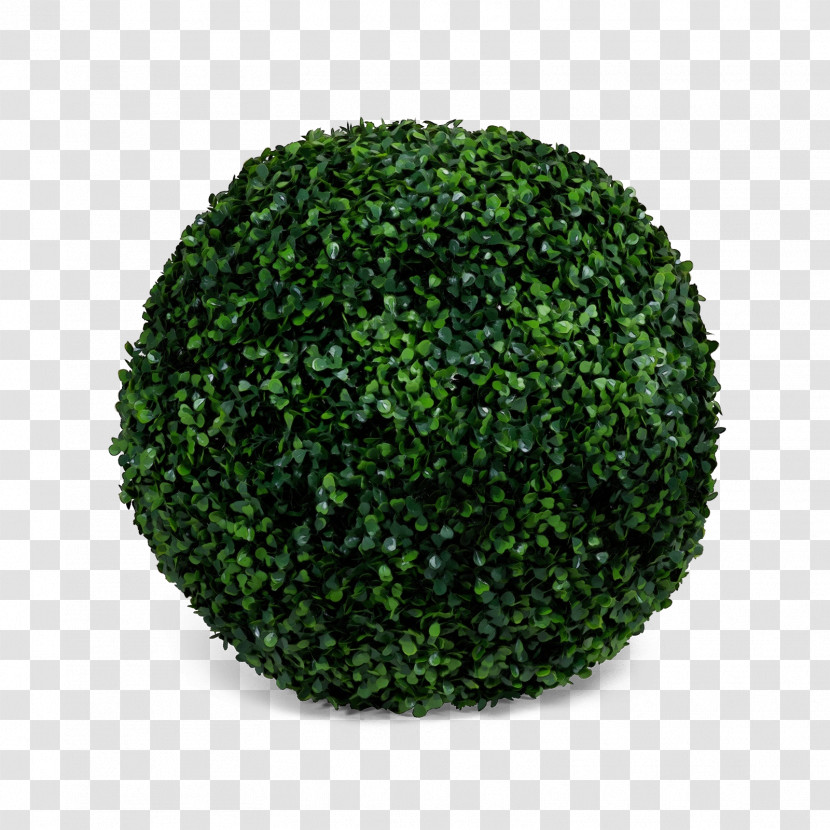 Green Grass Plant Shrub Ball Transparent PNG