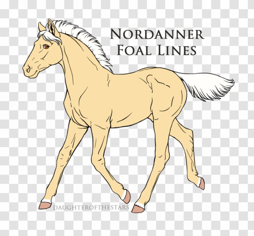 Mule Pony Foal Horse Stallion - Mare Transparent PNG