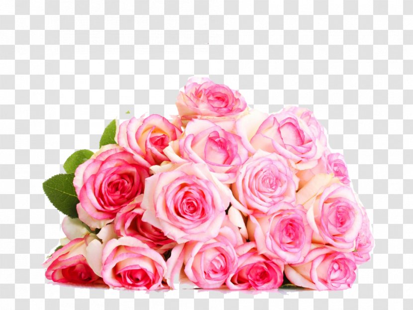 Stock Photography Information - Garden Roses - 8th March Transparent PNG