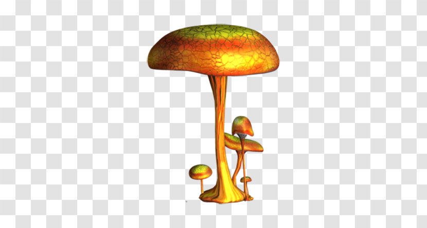 Mushroom Drawing Fungus - Cartoon - Cute Image Transparent PNG