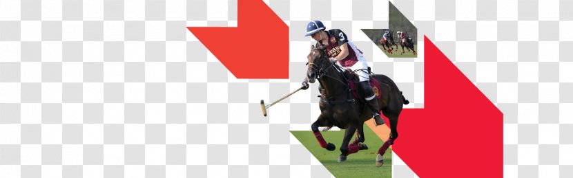 Horse Rein Flag Jockey International Transparent PNG