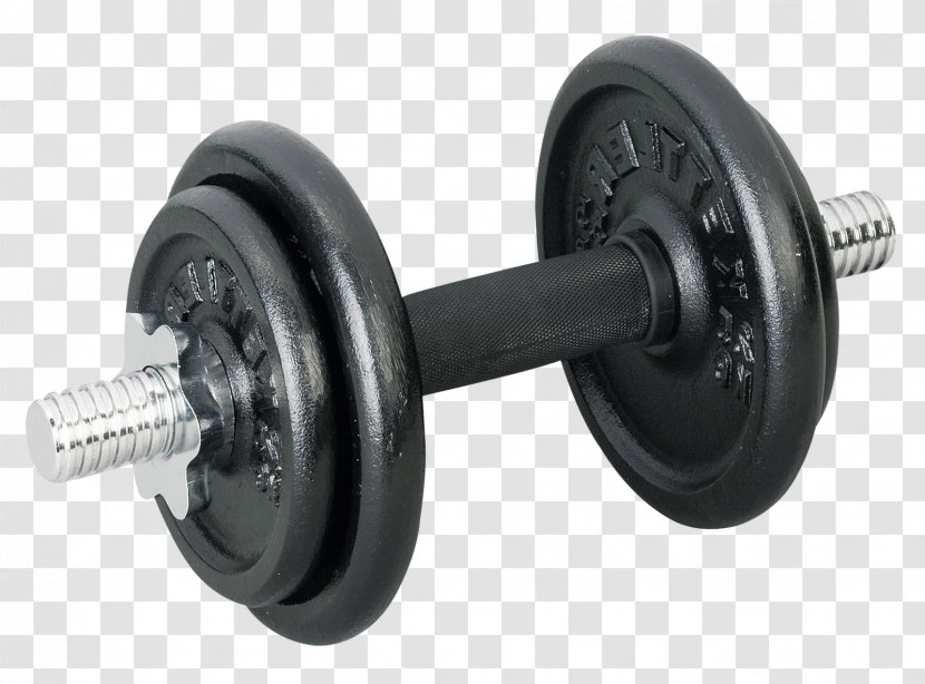 Dumbbell Clip Art Weight Training Exercise - Wheel Transparent PNG