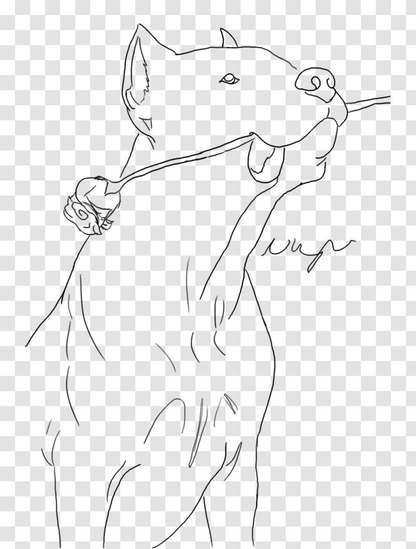 Canidae Rat Drawing Sketch - Frame Transparent PNG