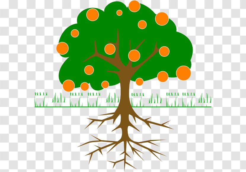 Root Tree Branch Clip Art - Logo - Orange Fruit Transparent PNG