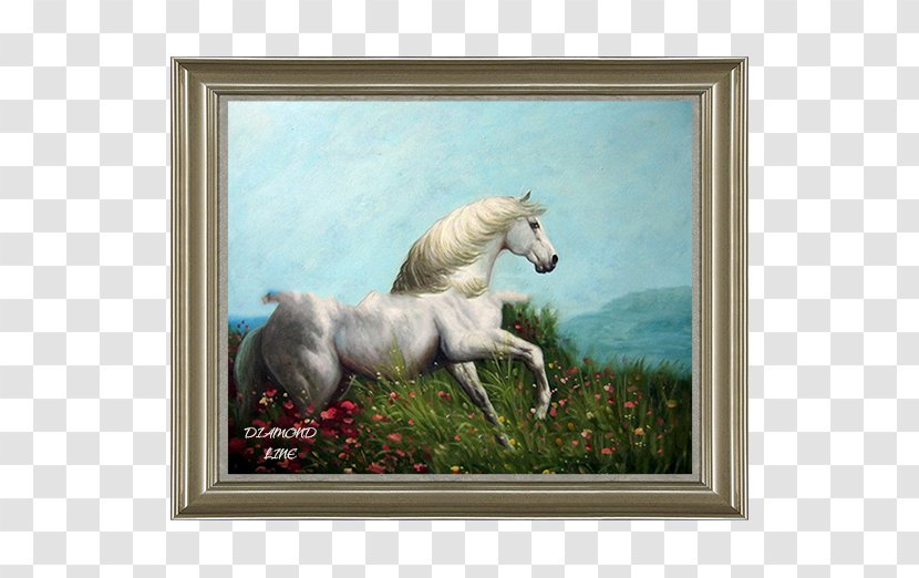 Stallion Mustang Painting Unicorn Picture Frames Transparent PNG