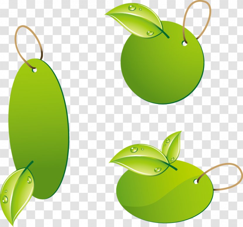 Kagiso Green Office Week Environmentally Friendly Clip Art - Leaf - Tag Transparent PNG