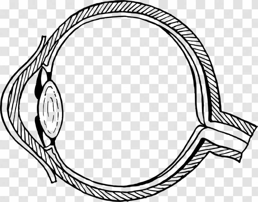 Eye Pattern Wiring Diagram Human - Cartoon Transparent PNG