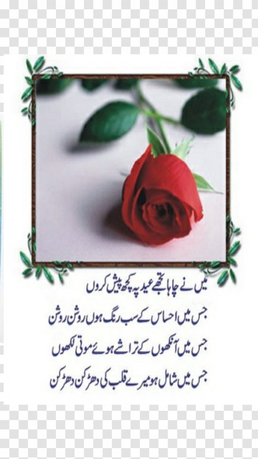 Urdu Poetry Eid Al-Fitr Al-Adha - Aladha - Good Morning In Transparent PNG