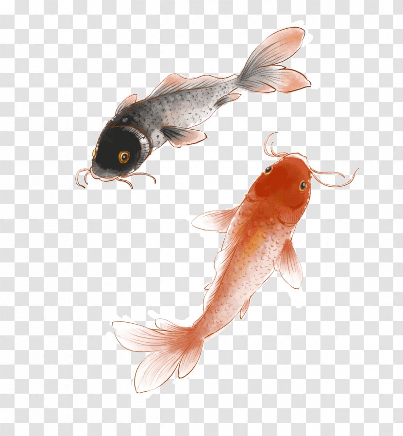 Koi Ink Wash Painting Image - Animal Source Foods - Hurry Up Transparent PNG