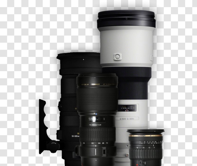 Camera Lens Canon EF Mount Sigma Corporation - 50mm F14 Ex Dg Hsm Transparent PNG