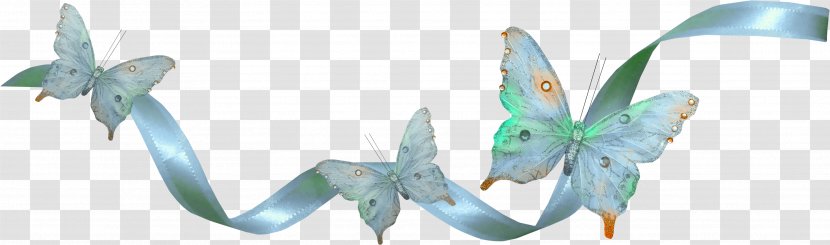 Contes, Poxe8mes Et Citations Contes Les Papillons - Cartoon - Butterfly Silk Edge Transparent PNG