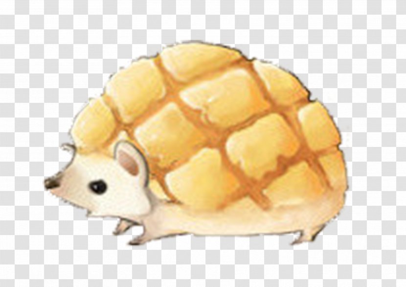 Hedgehog Pet - Heart - Hand Drawn Transparent PNG