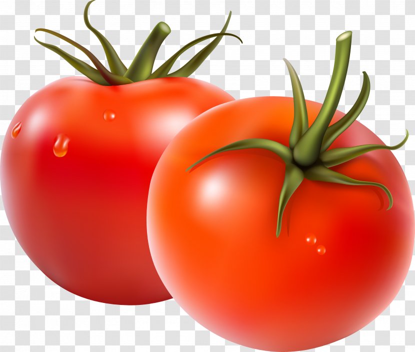 Fruit Salad Vegetable Tomato - Diet Food - Fresh Transparent PNG